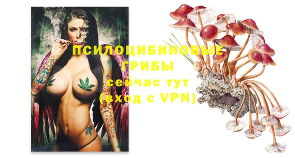 тгк Абдулино