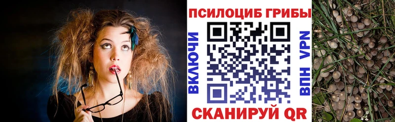 Псилоцибиновые грибы Magic Shrooms  Углегорск 